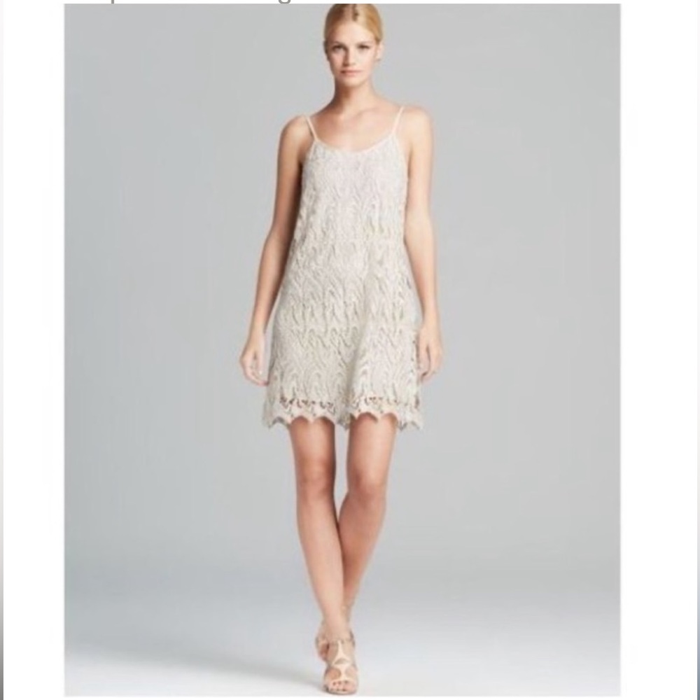 Alice + Olivia Metallic Lace Dress